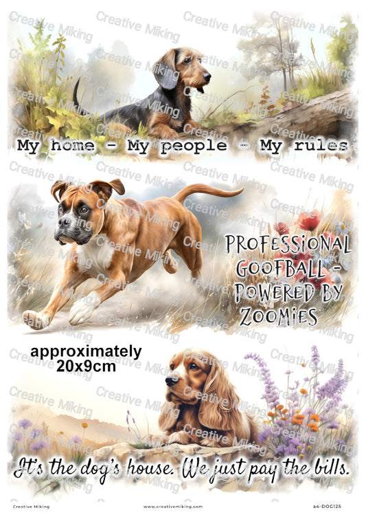 Dogs Funny Decoupage Rice Paper | DOG125