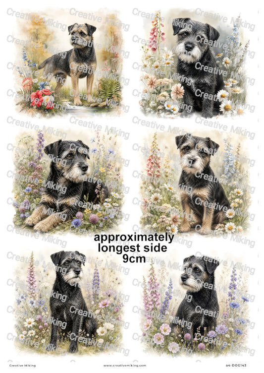 Border Terrier Dog Decoupage Rice Paper | DOG143