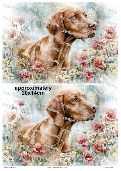 Vizsla Dog Decoupage Rice Paper | DOG144
