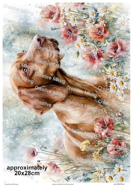 Vizsla Dog Decoupage Rice Paper | DOG144
