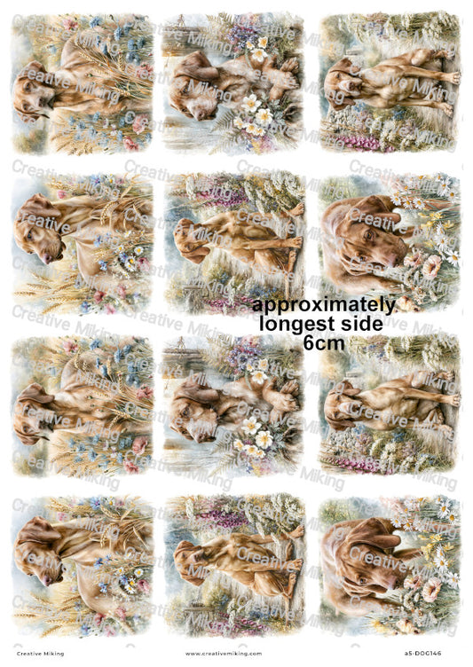 Vizsla Dog Decoupage Rice Paper | DOG146