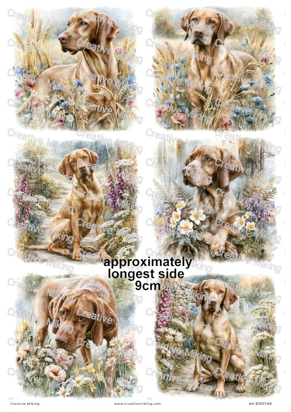 Vizsla Dog Decoupage Rice Paper | DOG146