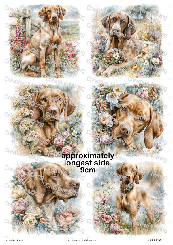 Vizsla Dog Decoupage Rice Paper | DOG147