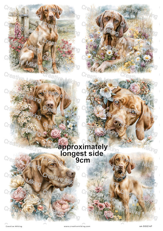 Vizsla Dog Decoupage Rice Paper | DOG147