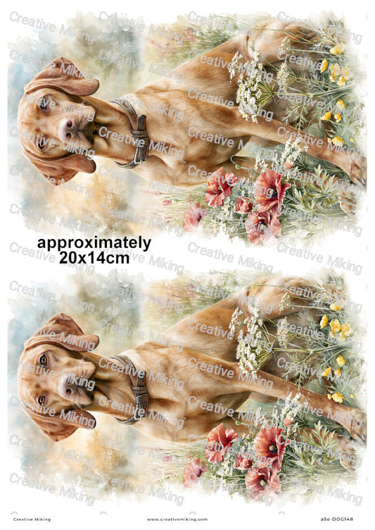 Vizsla Dog Decoupage Rice Paper | DOG148