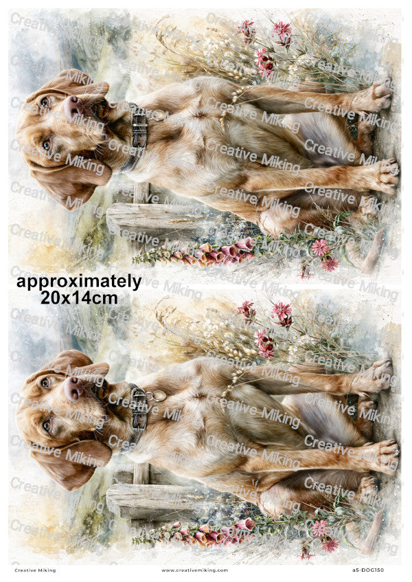 Vizsla Dog Decoupage Rice Paper | DOG150