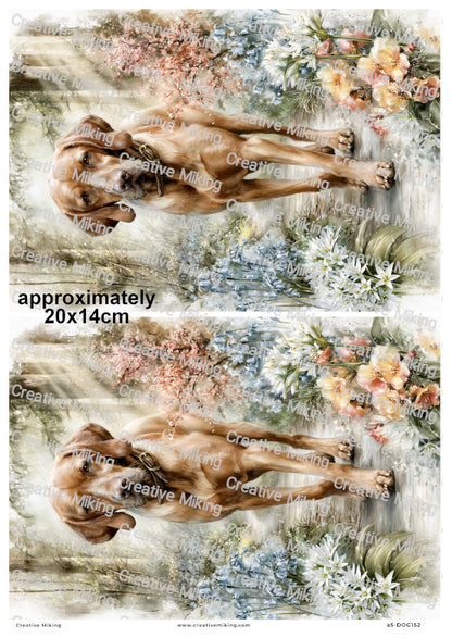 Vizsla Dog Decoupage Rice Paper | DOG152