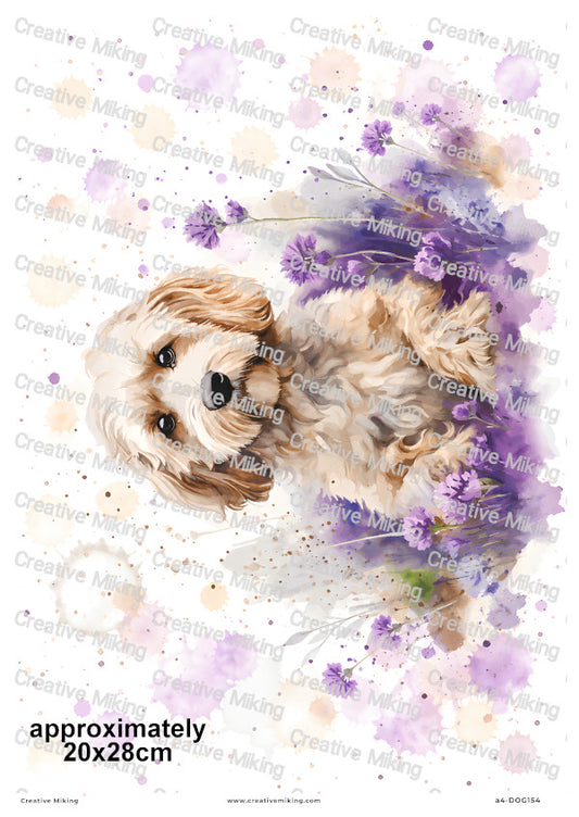 Cockapoo Dog Decoupage Rice Paper | DOG154