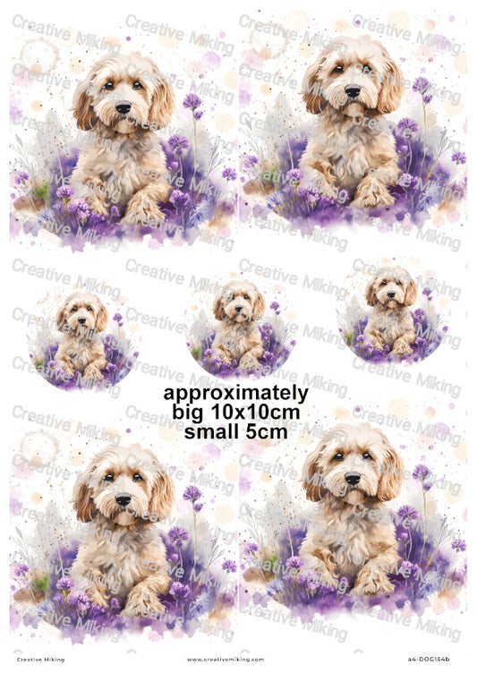 Cockapoo Dog Decoupage Rice Paper | DOG154b