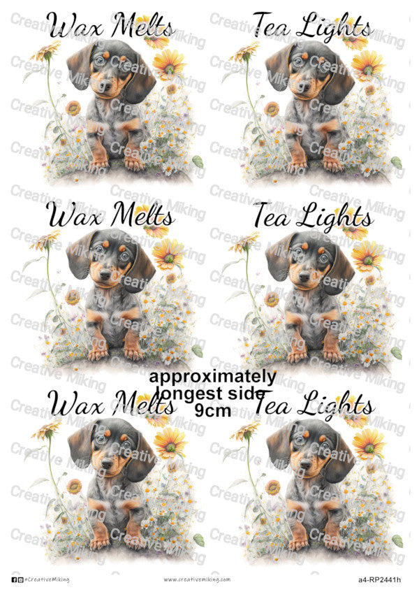 RP2441h - Dachshund - "Wax Melts & Tea Lights"