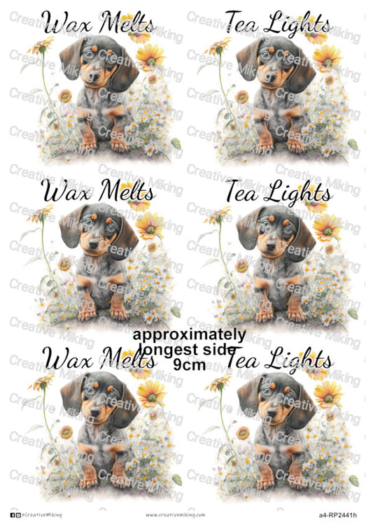 RP2441h - Dachshund - "Wax Melts & Tea Lights"