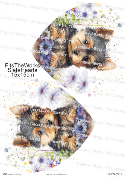 Yorkshire Terrier Dog Among Floral Splashes Decoupage Paper | RP2453c1