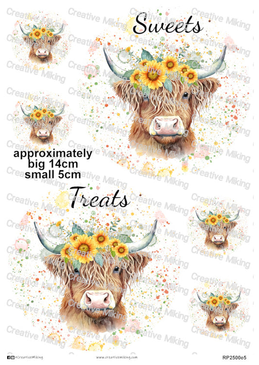 RP2500e5 - Highland Cow Labels - Sweets & Treats