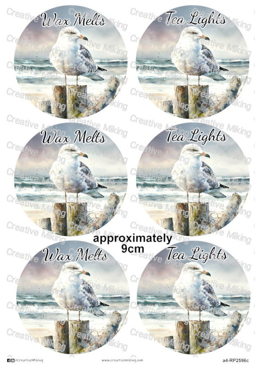 RP2596c - Seagull - "Wax Melts & Tea Lights"
