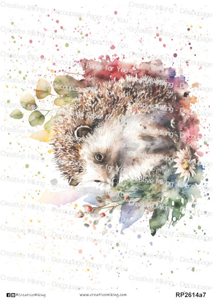 Hedgehog Watercolor Splashes Decoupage Rice Paper | RP2614a7