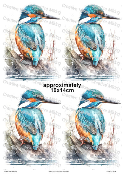 Kingfisher Bird Decoupage Rice Paper | RP2628b