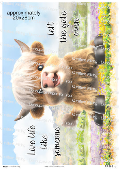 Highland Cow Decoupage Paper | RP2681c