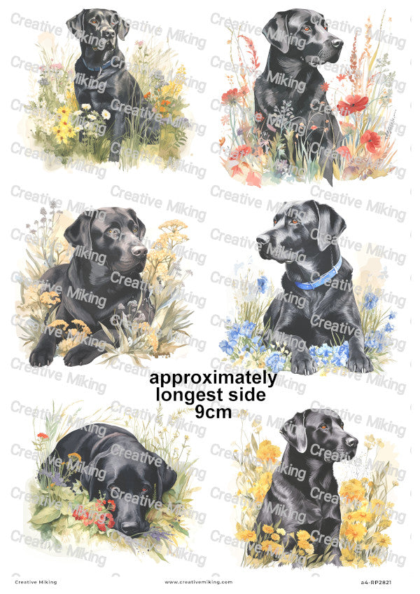 Black Labrador Retriever Dogs Among Flowers Decoupage Rice Paper | RP2821