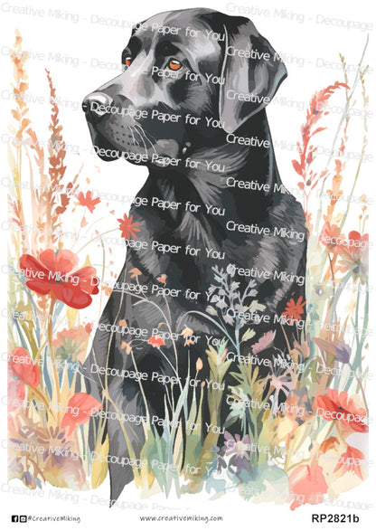Black Labrador Retriever Dog Among Flowers Decoupage Rice Paper | RP2821b