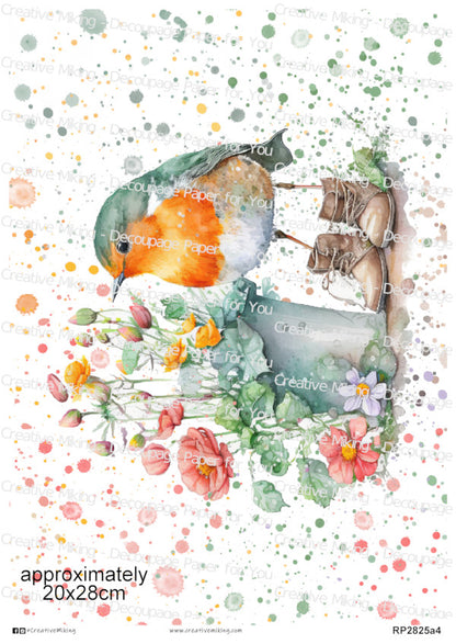 RP2825a4 - Robin in Boots