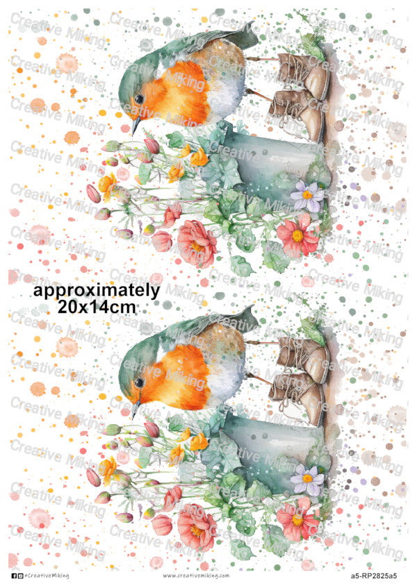 RP2825a5 - Robin in Boots