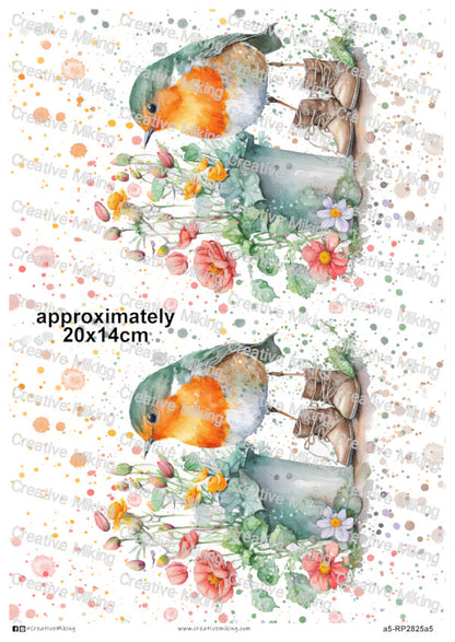 RP2825a5 - Robin in Boots