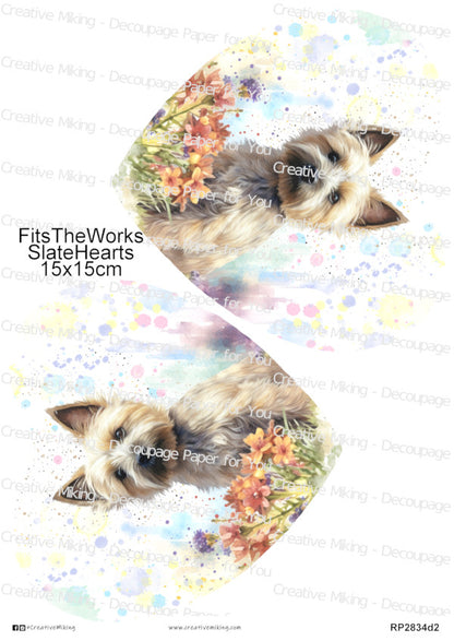 Cairn Terrier Dog With Flowers Watercolor Splashes Decoupage Paper | RP2834d2