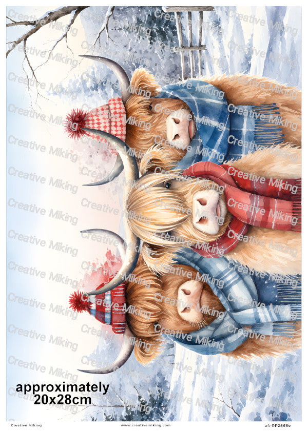 Highland Cows In Winter Scarves Christmas Decoupage Rice Paper | RP2866e