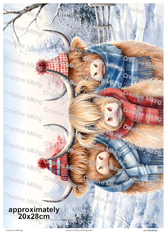 Highland Cows In Winter Scarves Christmas Decoupage Rice Paper | RP2866e