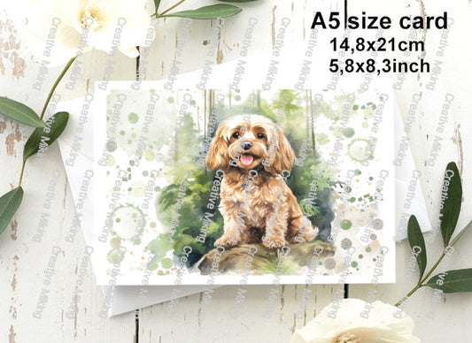 RP2938b1 - Cavapoo