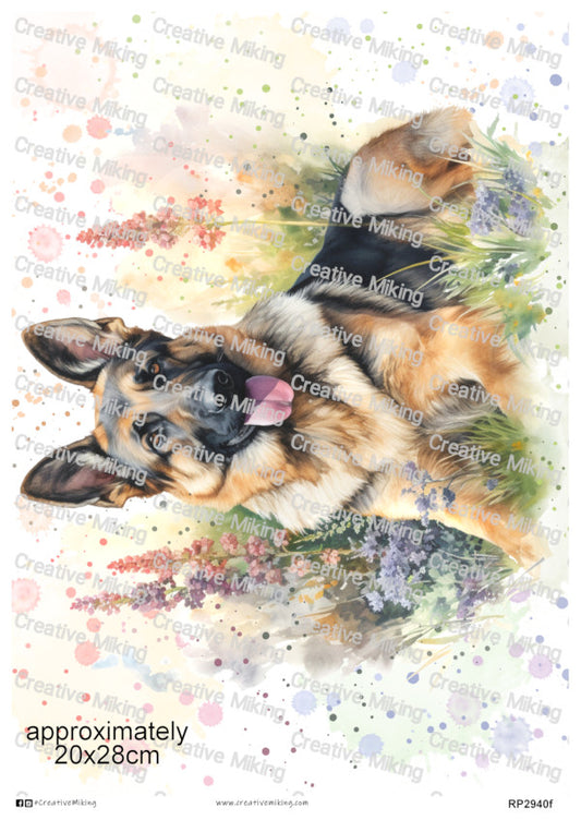 German Shepherd Dog in Meadow Watercolor Decoupage Paper | RP2940f