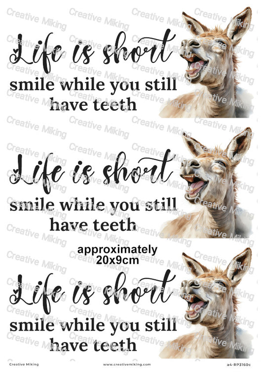 Donkey Funny Decoupage Paper | RP3160c