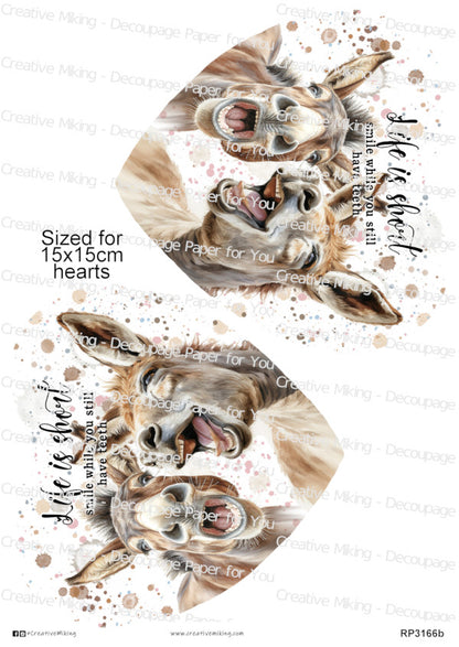 Donkey Funny Watercolor Splatters Decoupage Paper | RP3166b
