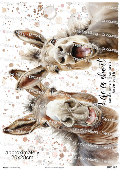 Donkey Funny Watercolor Splatters Decoupage Paper | RP3167