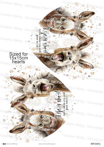 Donkey Funny Watercolor Splatters Decoupage Paper | RP3167c