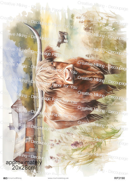 Highland Cow In Countryside Landscape Decoupage Paper | RP3198