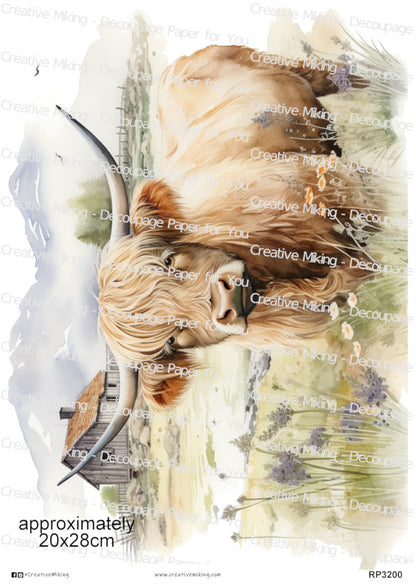 Highland Cow In Countryside Landscape Decoupage Paper | RP3200