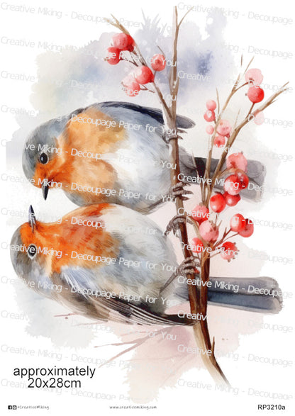 Robins On Branch With Red Berries Decoupage Paper | RP3210a