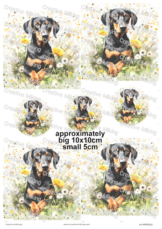 Doberman Pinscher Floral Decoupage Rice Paper | RP3222a