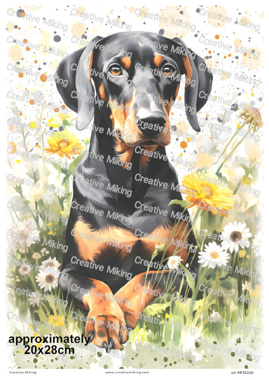Doberman Pinscher Floral Decoupage Rice Paper | RP3222b