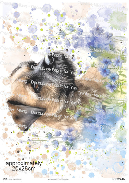 Border Terrier Dog With Blue Wildflowers Watercolor Splashes Decoupage Rice Paper | RP3224b