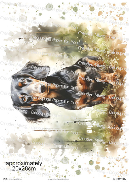 Dachshund Dog Decoupage Paper | RP3283b