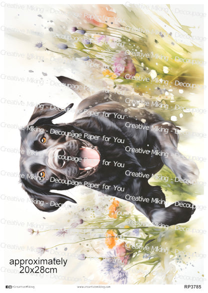 Black Labrador Retriever Dog among Wildflowers Decoupage Rice Paper | RP3785