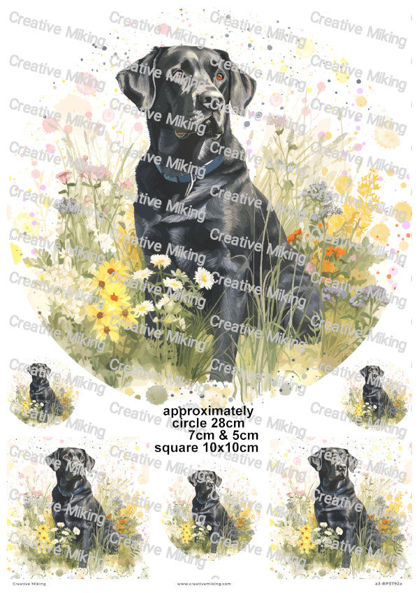 Black Labrador Retriever Dog Watercolor Splashes Decoupage Rice Paper | RP3792a