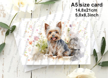 RP3938 - Yorkshire Terrier