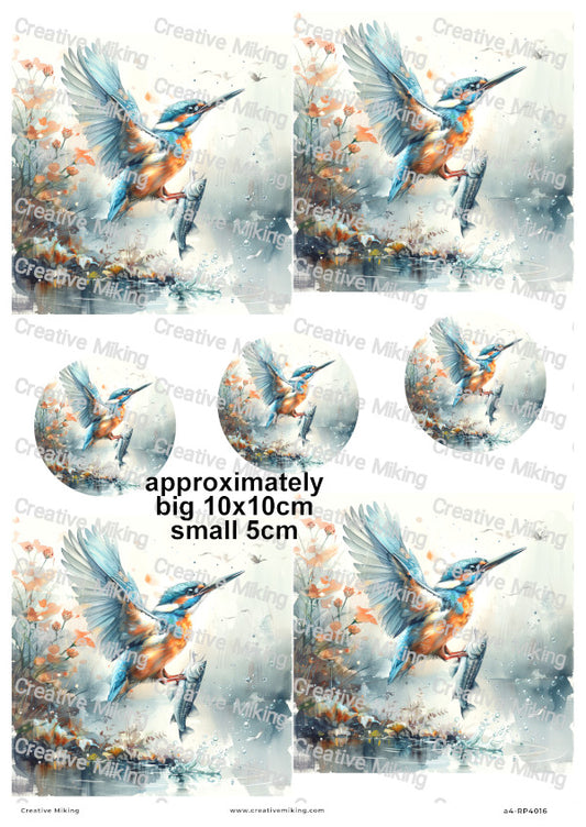 Kingfisher Bird Catching Fish Decoupage Rice Paper | RP4016