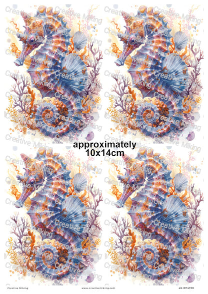 Ocean Seahorse With Coral And Shells Decoupage Rice Paper | RP4190