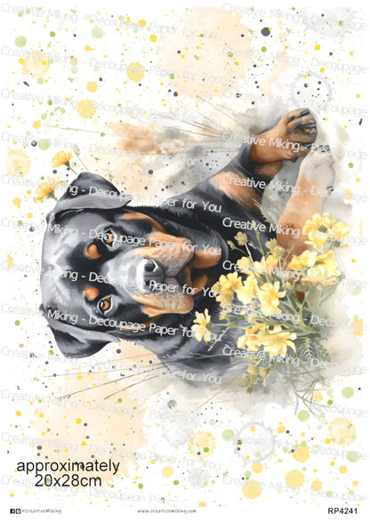 Rottweiler Dog With Yellow Flowers Watercolor Spalsh Decoupage Rice Paper | RP4241