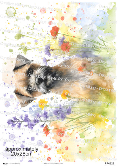 Border Terrier Dog Among Wildflowers Watercolor Splash Decoupage Paper | RP4525