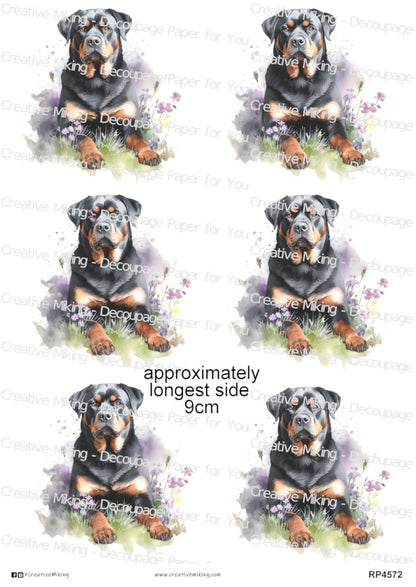 Rottweiler Dog Decoupage Paper | RP4572